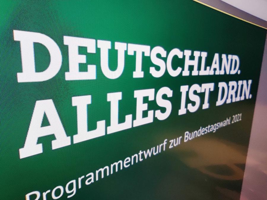 Österreichs Vizekanzler wirbt für Grüne in deutscher Regierung