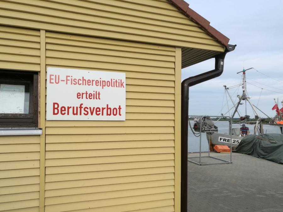 Deutschland trägt EU-Fangquotenbeschlüsse nicht mit