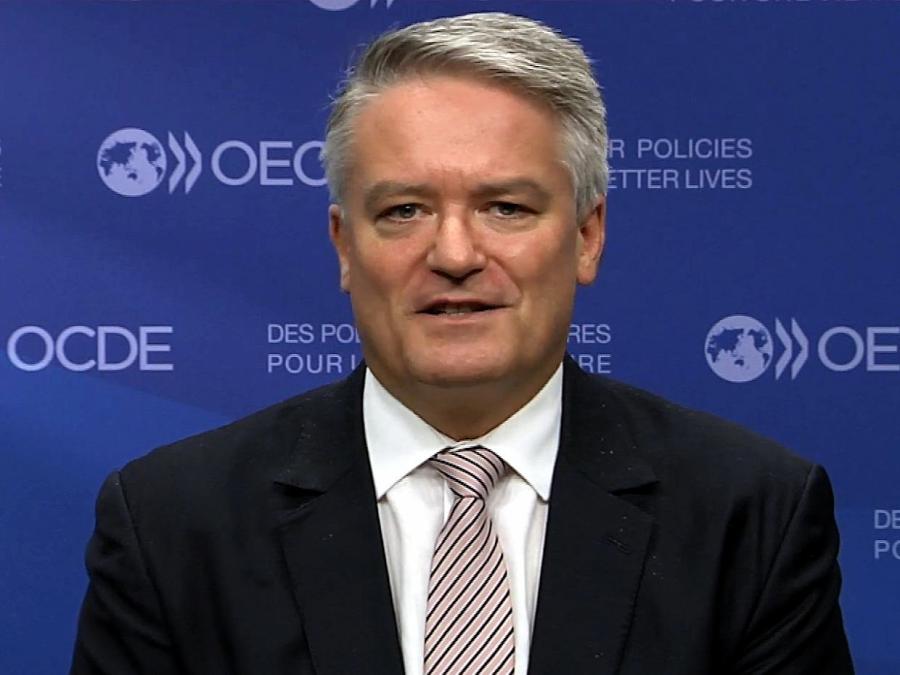 Spitzenökonomen kritisieren OECD-Chef