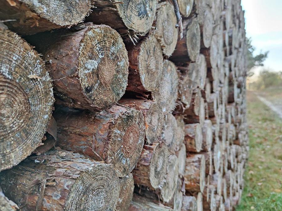 Forstwirtschaft kritisiert Verbot reiner Holzheizungen