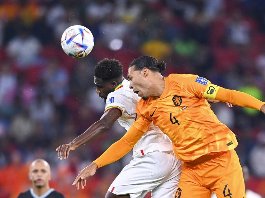 Niederlande gewinnen WM-Auftakt gegen Senegal