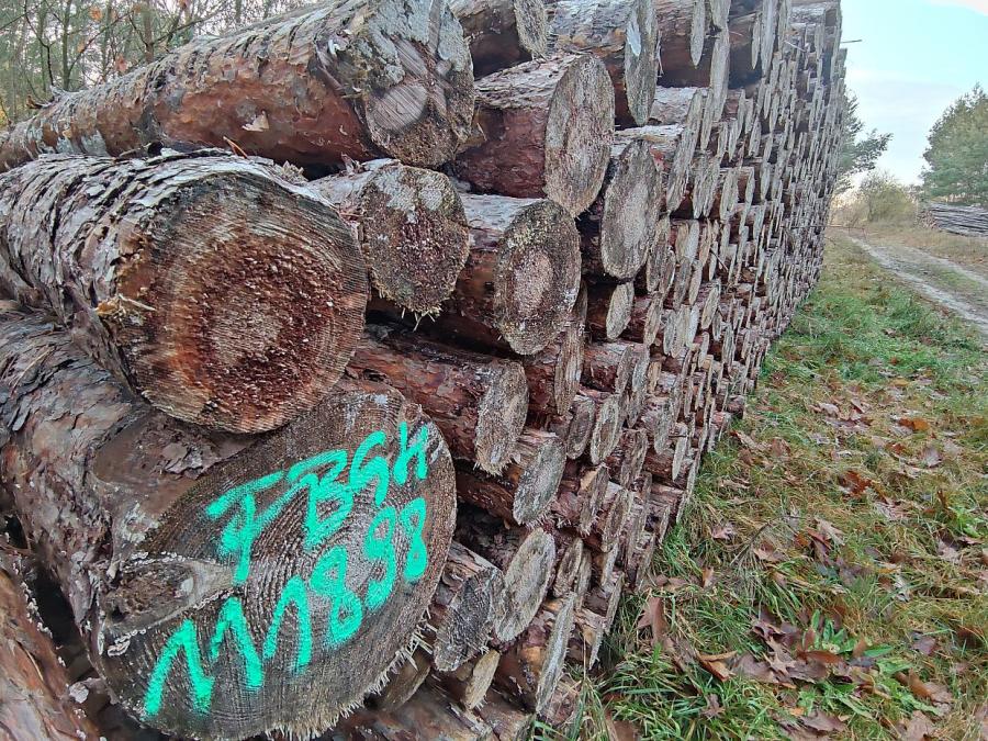 Holzindustrie fürchtet restriktive Nutzungsverbote