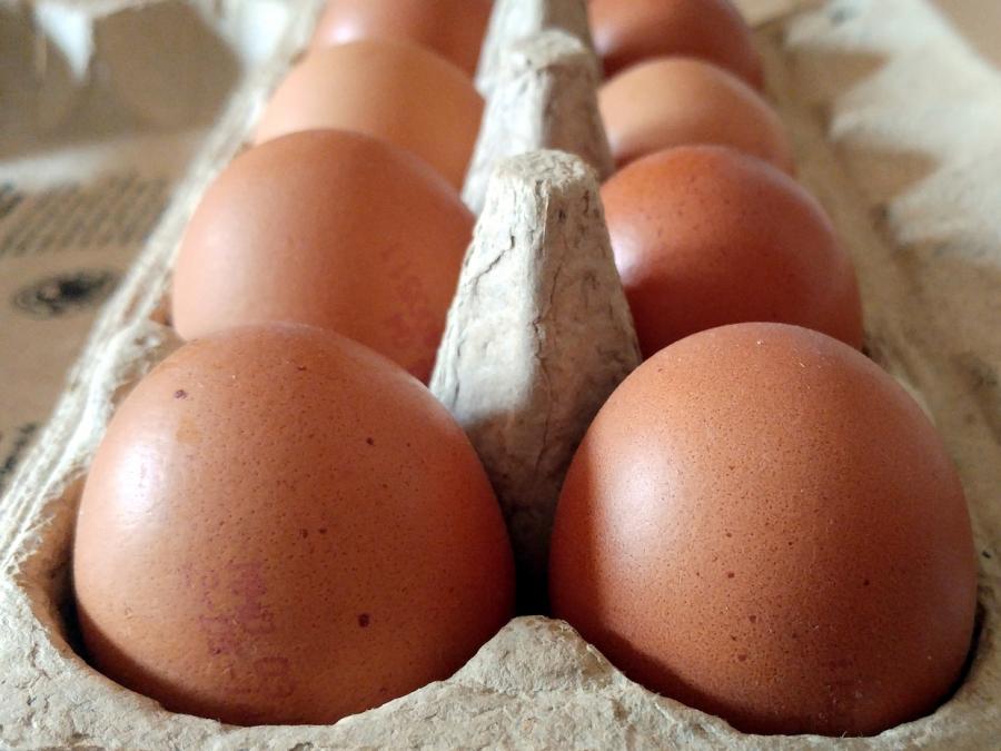 Hennen legten im Jahr 2020 im Schnitt 301 Eier