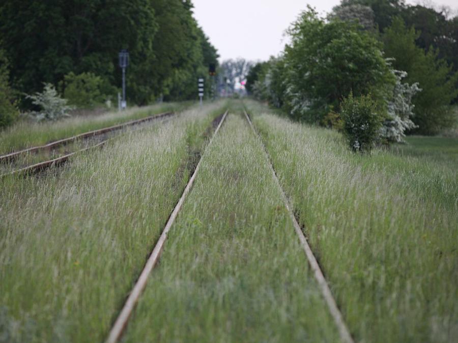 Studie: Deutsches Bahnnetz schrumpft in Europa am stärksten