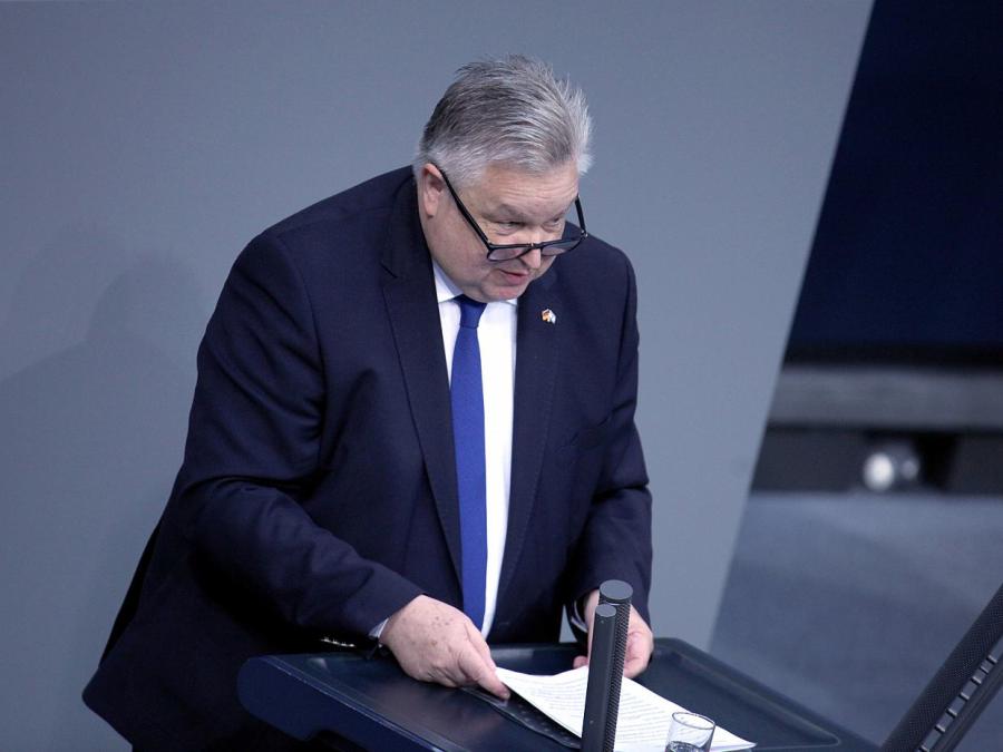 Link hält Reformschritte in Ungarn für nicht ausreichend