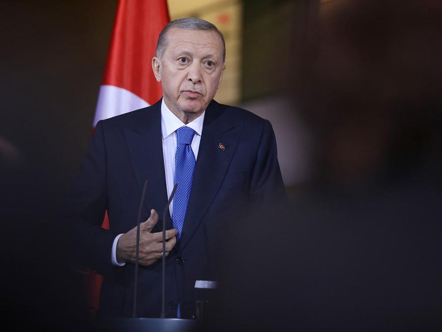 Beck kritisiert Erdogan wegen DAVA-Partei