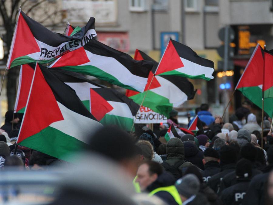 Zentralratspräsident warnt vor Verharmlosung von Palästina-Demos