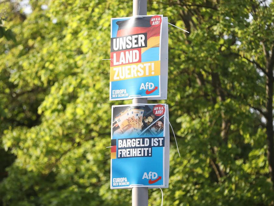 Politologe Funke sieht gefestigte AfD-Strukturen in Thüringen