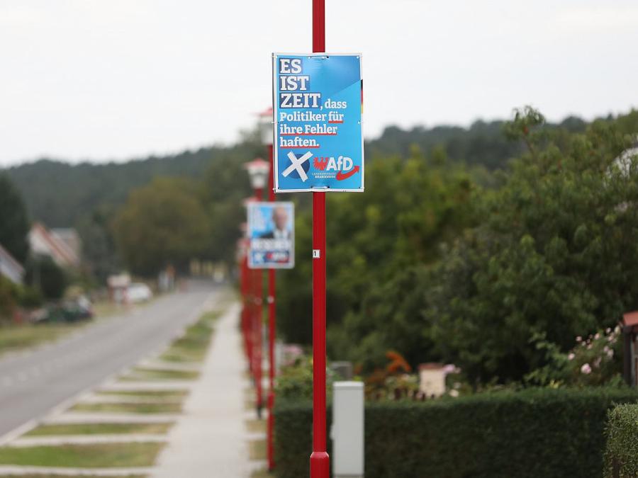 DIW befürchtet Konsequenzen in AfD-starken Regionen