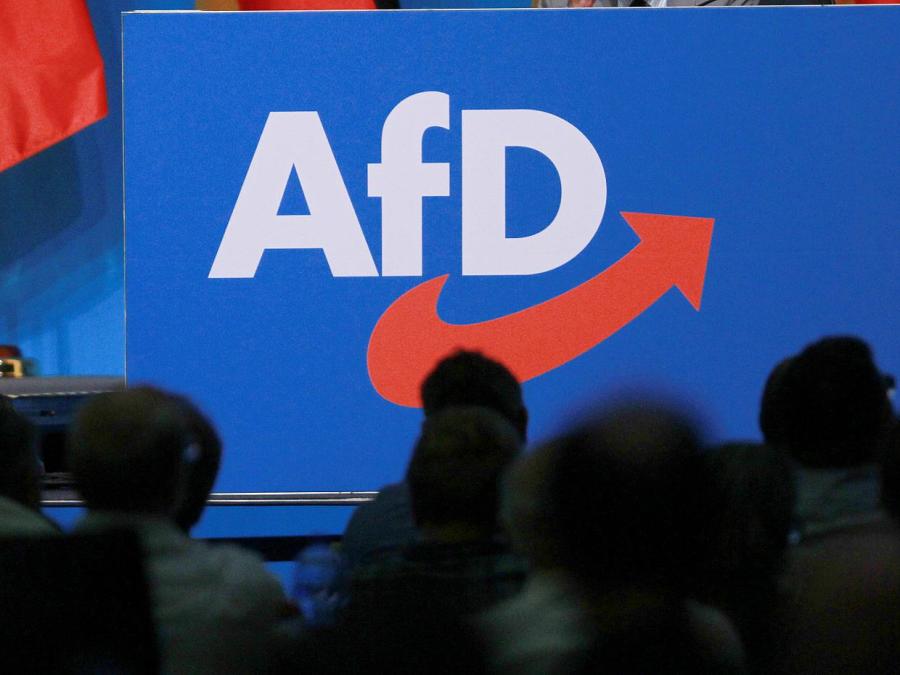 Ökonomen sehen AfD-Wirtschaftspolitik kritisch