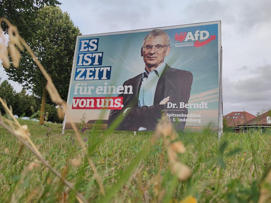 Politbarmeter: AfD in Brandenburg weiter vorn - SPD holt etwas auf