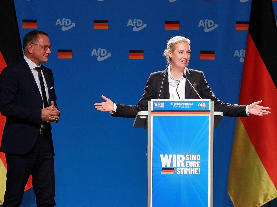 Ampelpolitiker uneins bei AfD-Verbot