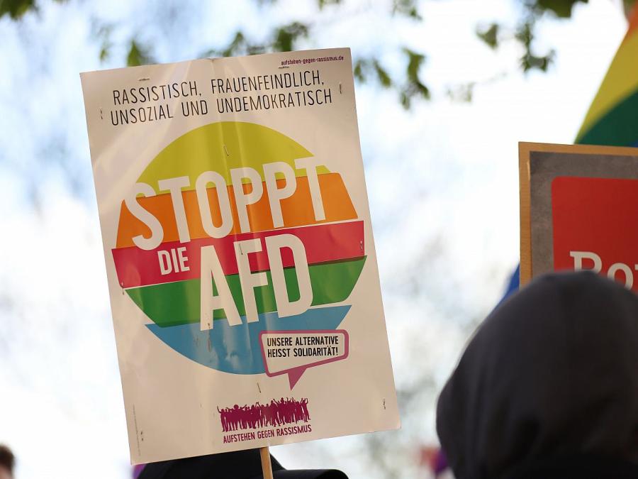 Mützenich warnt vor verfrühtem AfD-Verbotsverfahren