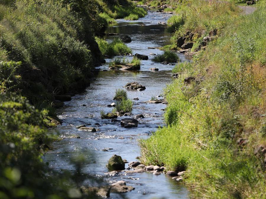 EU-Bericht: Zwei Drittel der Flüsse und Seen in schlechtem Zustand