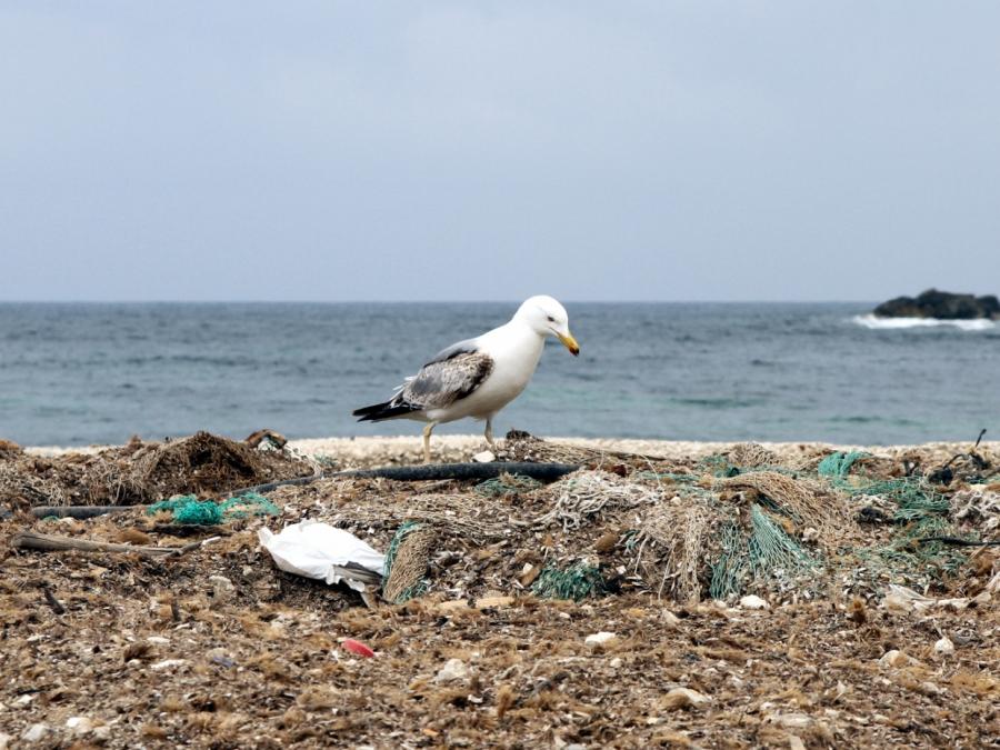Deutschland hält an Plastikmüll-Abkommen fest