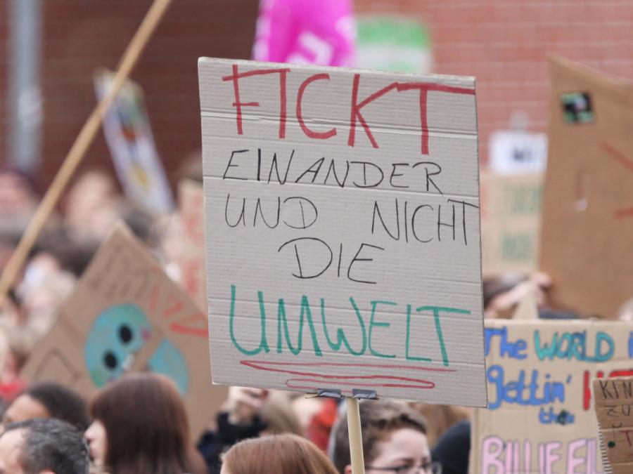 Autorin Brunschweiger kritisiert Fridays-for-Future-Bewegung